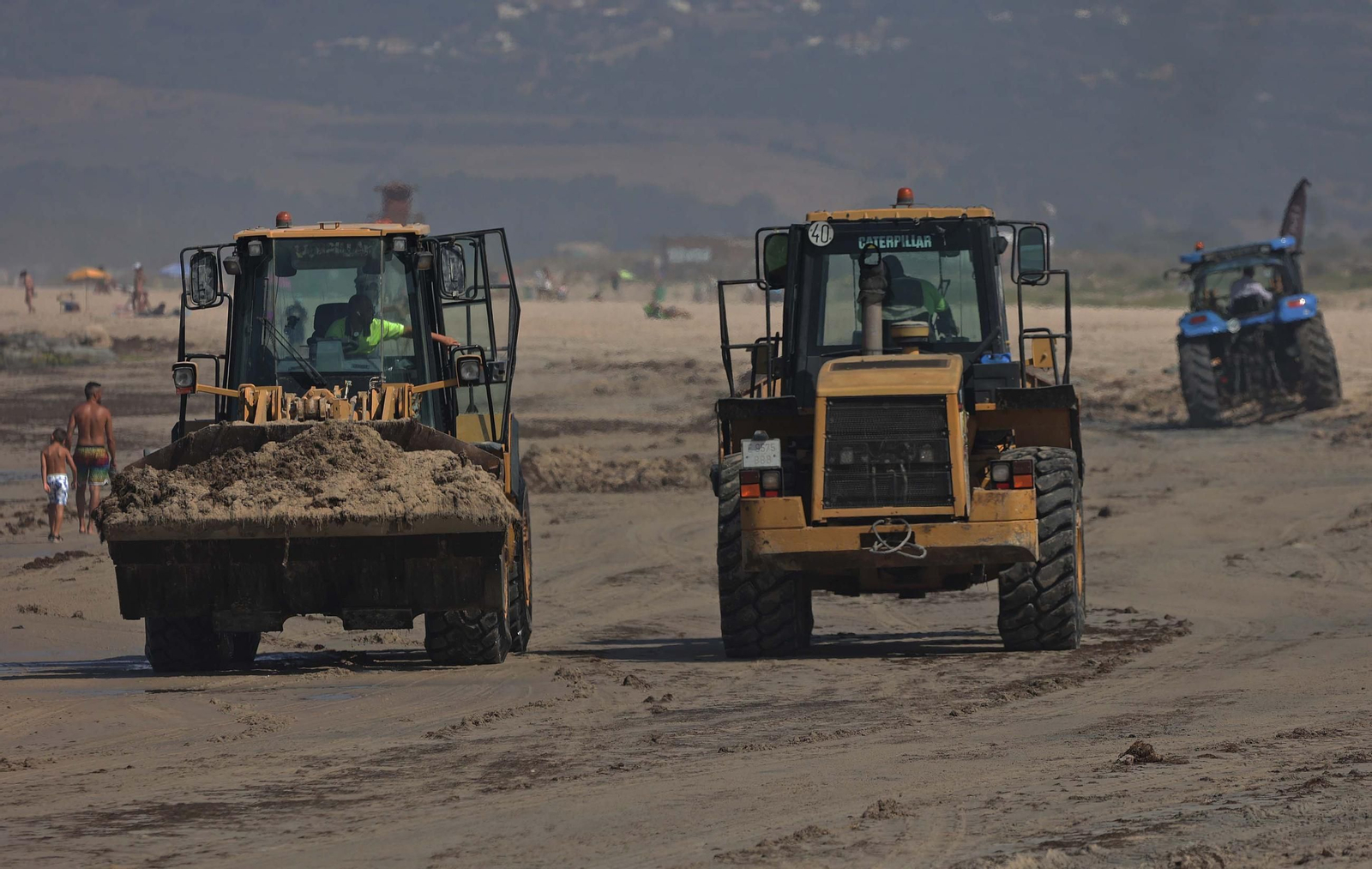 El alga invasora cubre de nuevo la playa de Los Lances en Tarifa