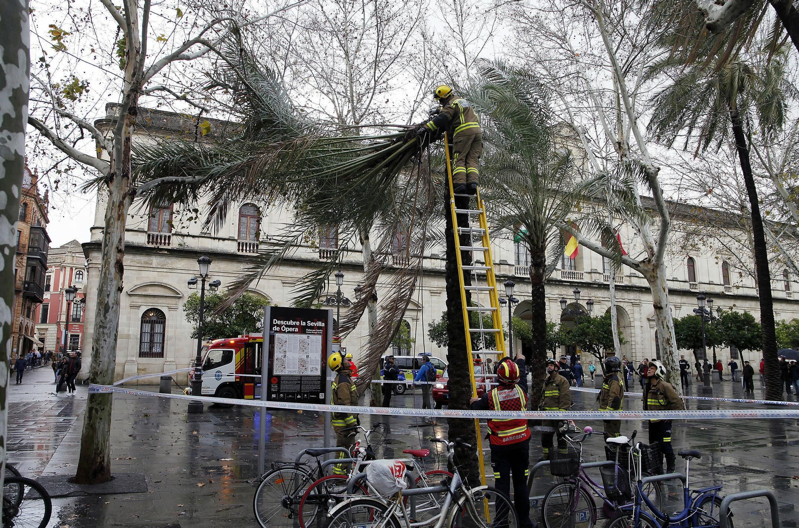 Las imágenes del temporal en Sevilla