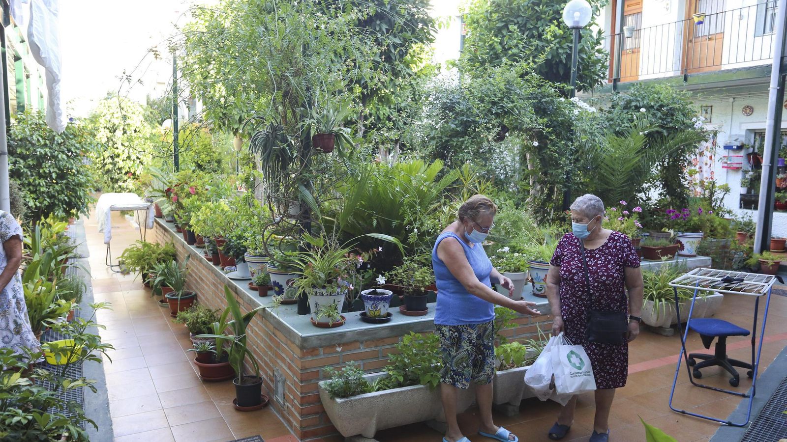 Un corralón en la plaza Montes: jardines para la resistencia.