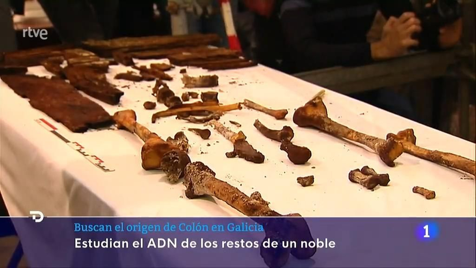 El origen de Cristóbal Colón tras exhumar un sarcófago del siglo XV