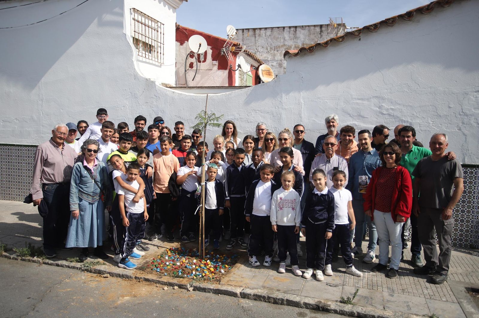 Imágenes la plantación de árboles en la Barriada de la Navidad por alumnos del Colegio Virgen de Belén