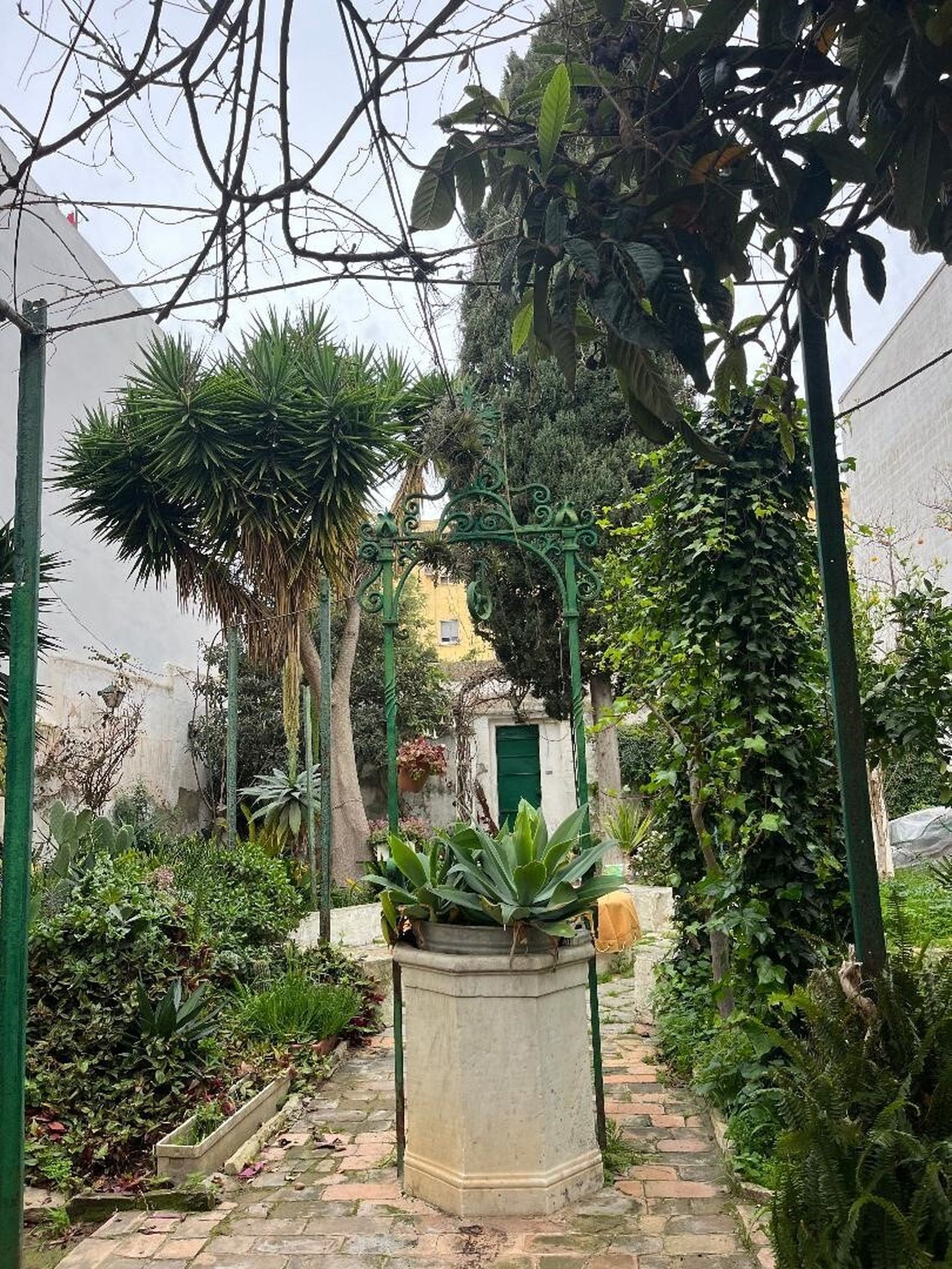 Las imágenes de la casa Berenguer en San Fernando