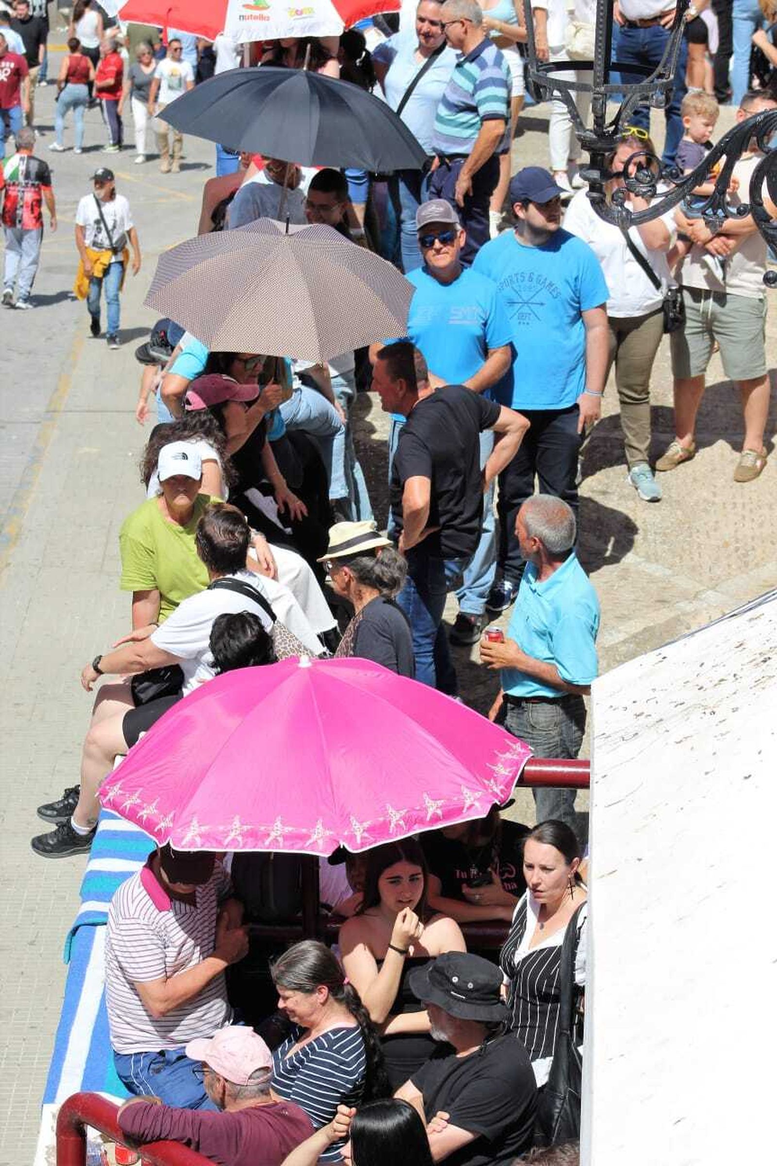 Las imágenes de la celebración del Toro del Aleluya en Arcos 2024