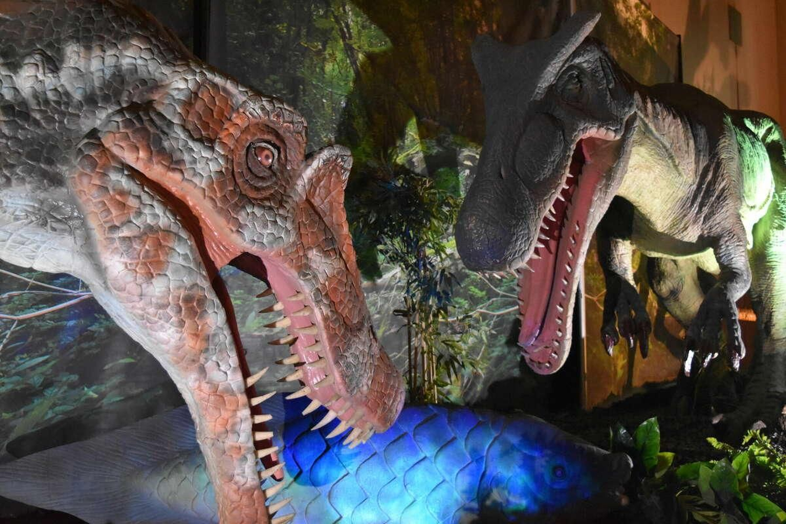 Descubre los dinosaurios animatrónicos de esta exposición.