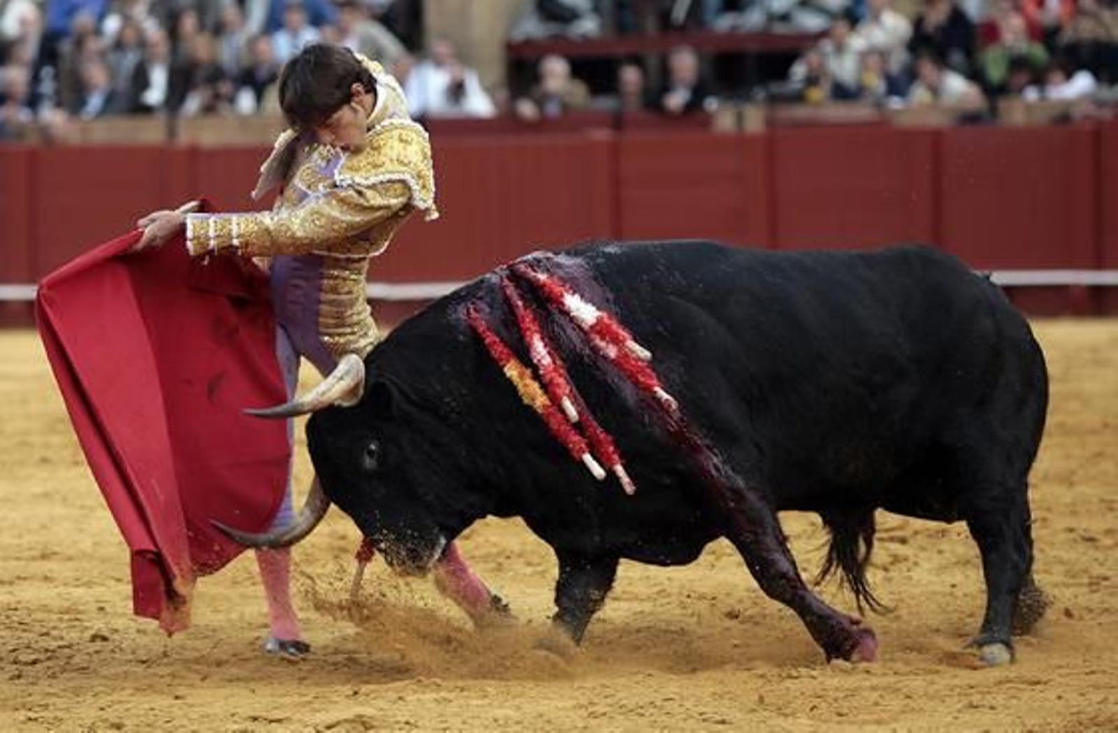 Antonio Nazaré, con el quinto toro, con el que sufrió una cogida en la pantorrilla derecha.

Foto: Juan Carlos Muñoz