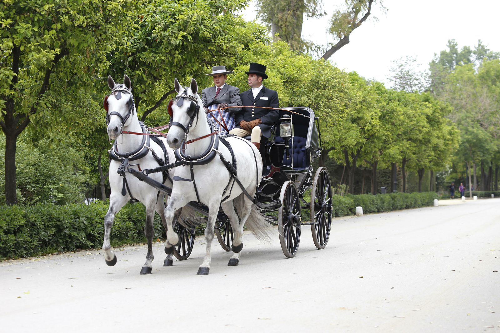 El concurso de enganches, en imágenes