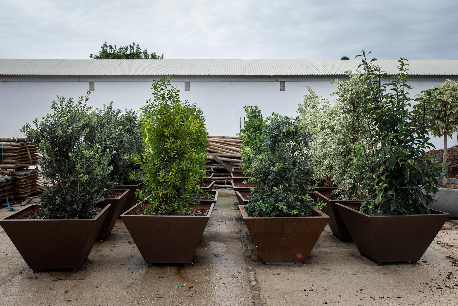 Visita al vivero municipal en imágenes