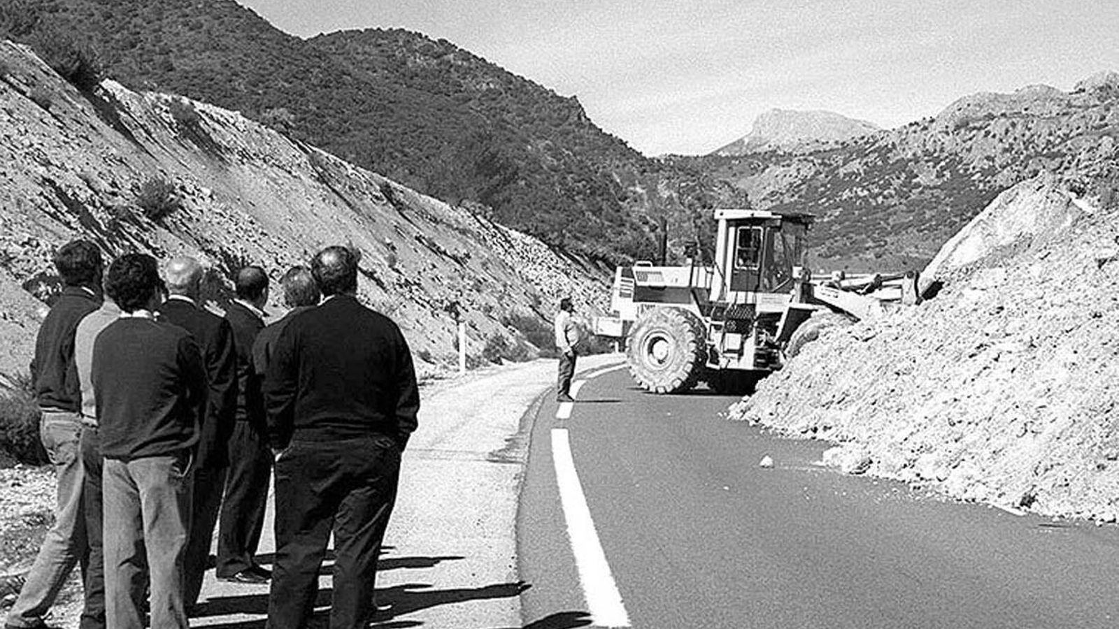 Desprendimiento de Diezma de 1991