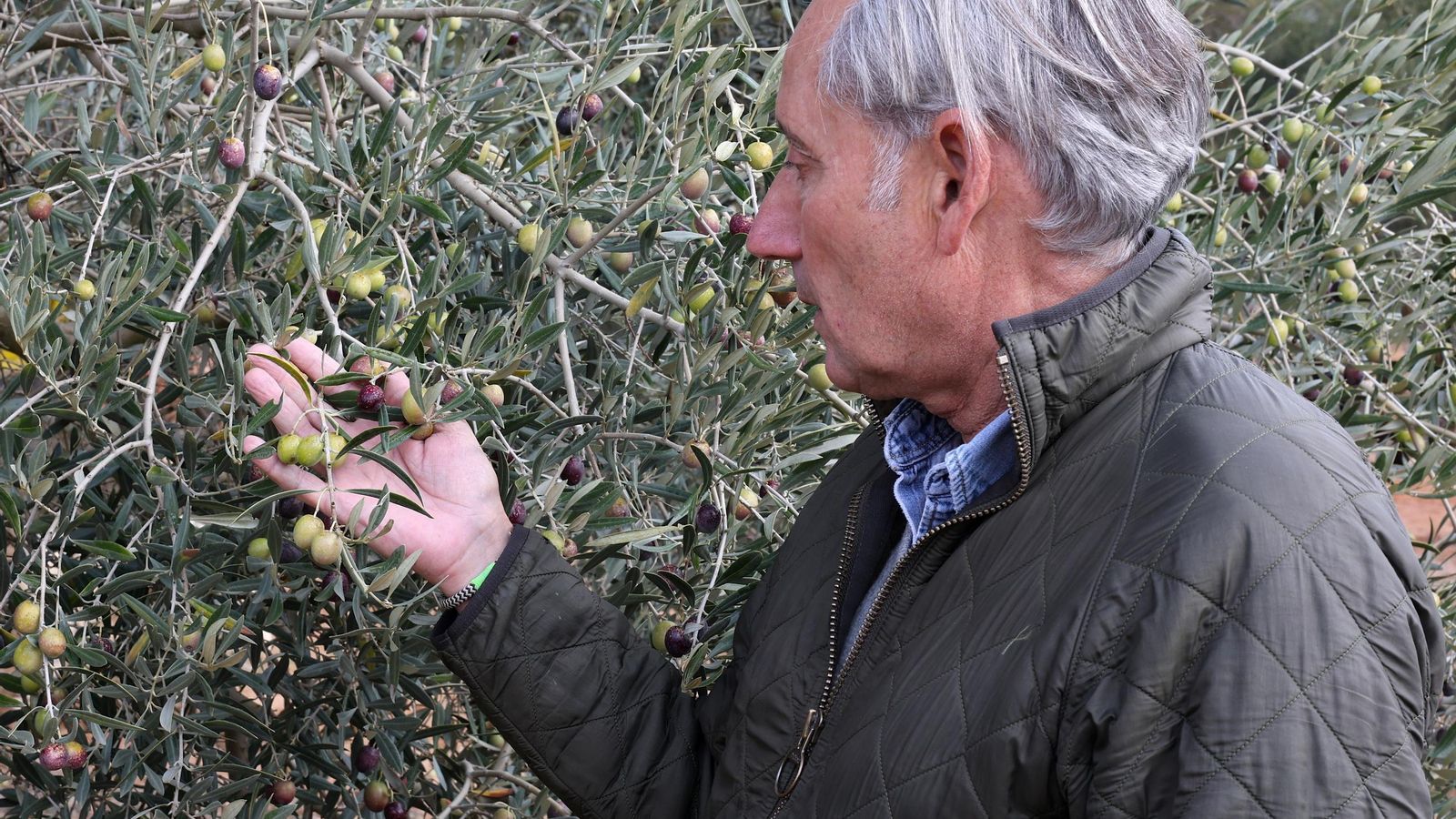 Joaquín Anaya, en su finca.