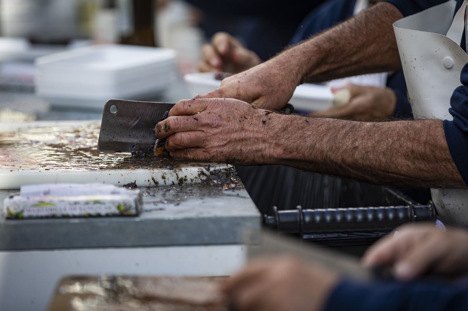 Búscate entre las mejores imágenes de la Erizada 2024 del Carnaval de Cádiz