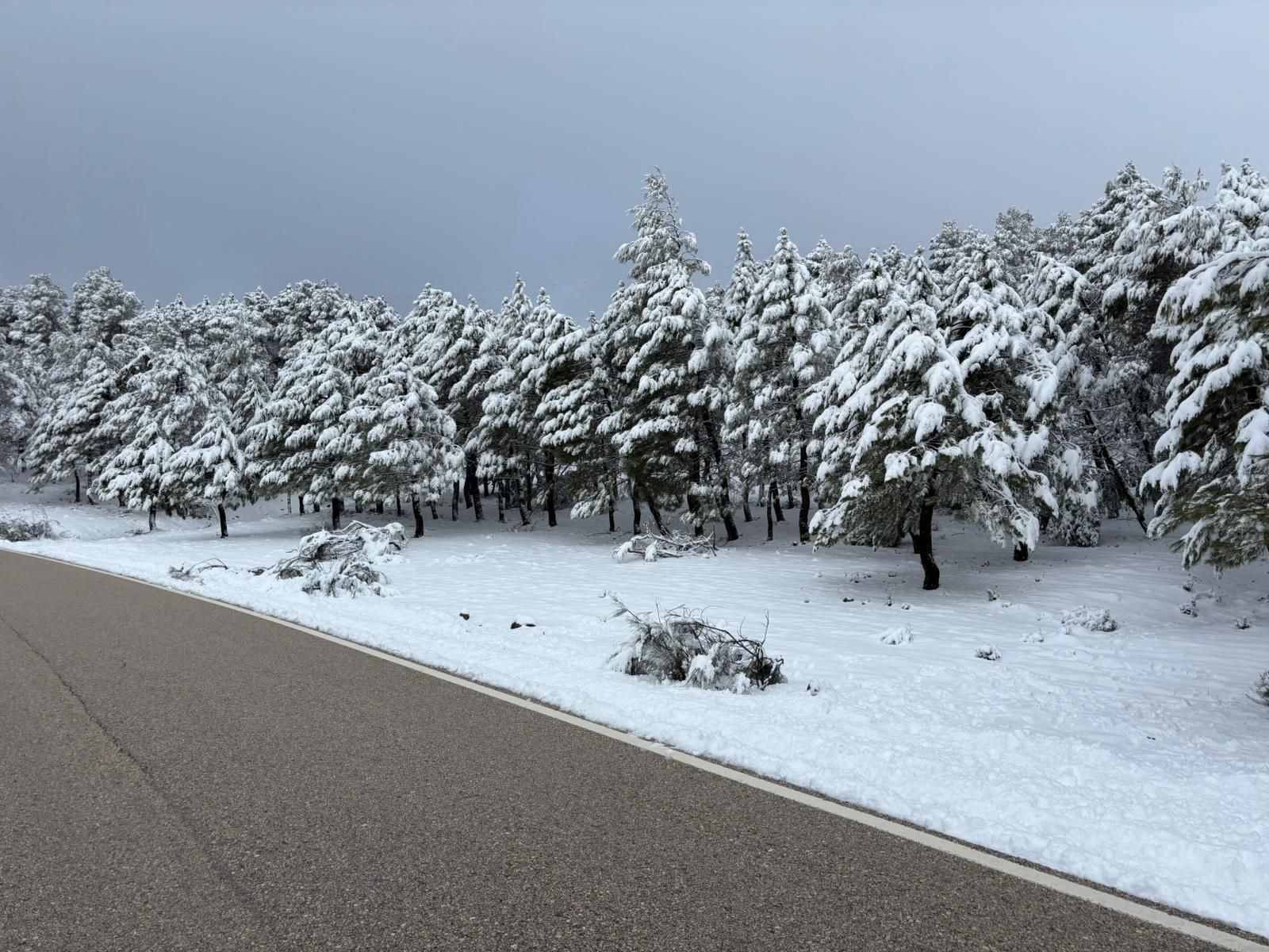 Sierra de Segura nevada.