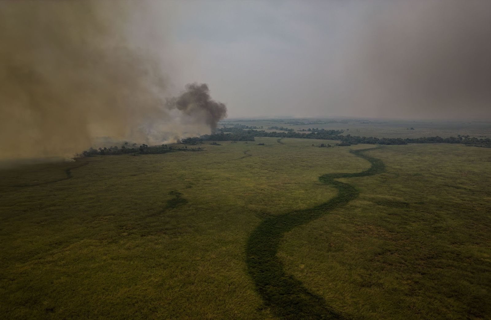 Las llamas convierten en una tumba al aire libre El Pantanal en Brasil