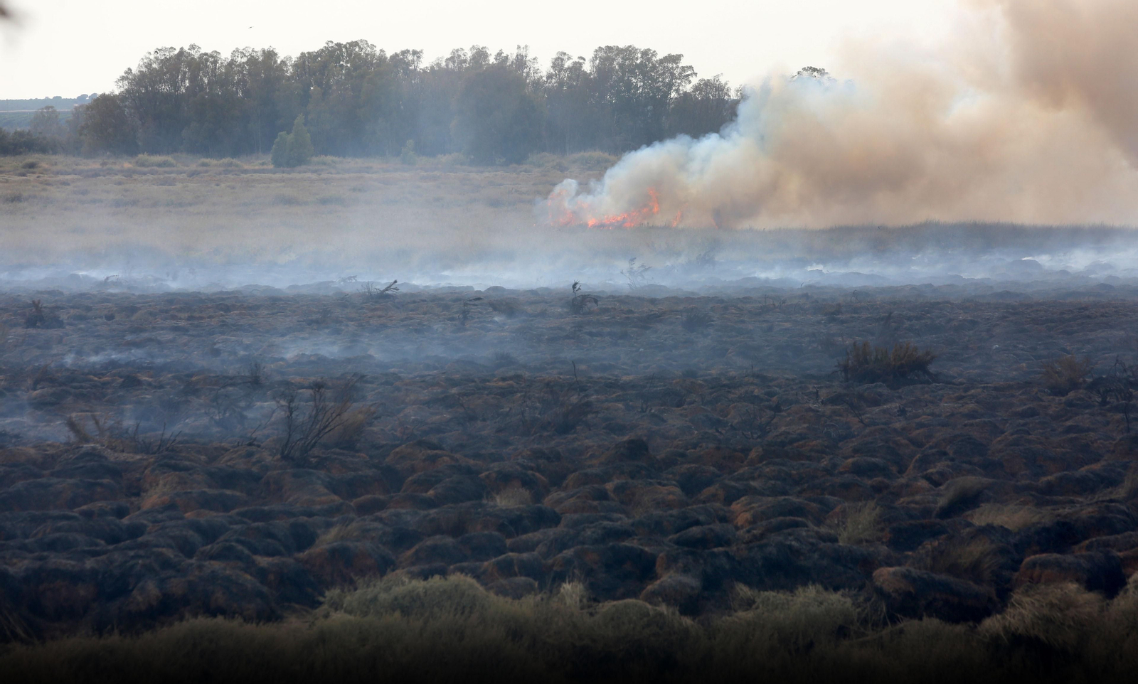Imágenes del incendio declarado en marismas del Odiel