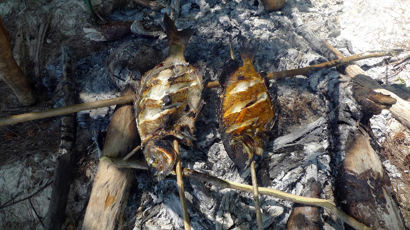 Las aventuras que ofrece Docastaway