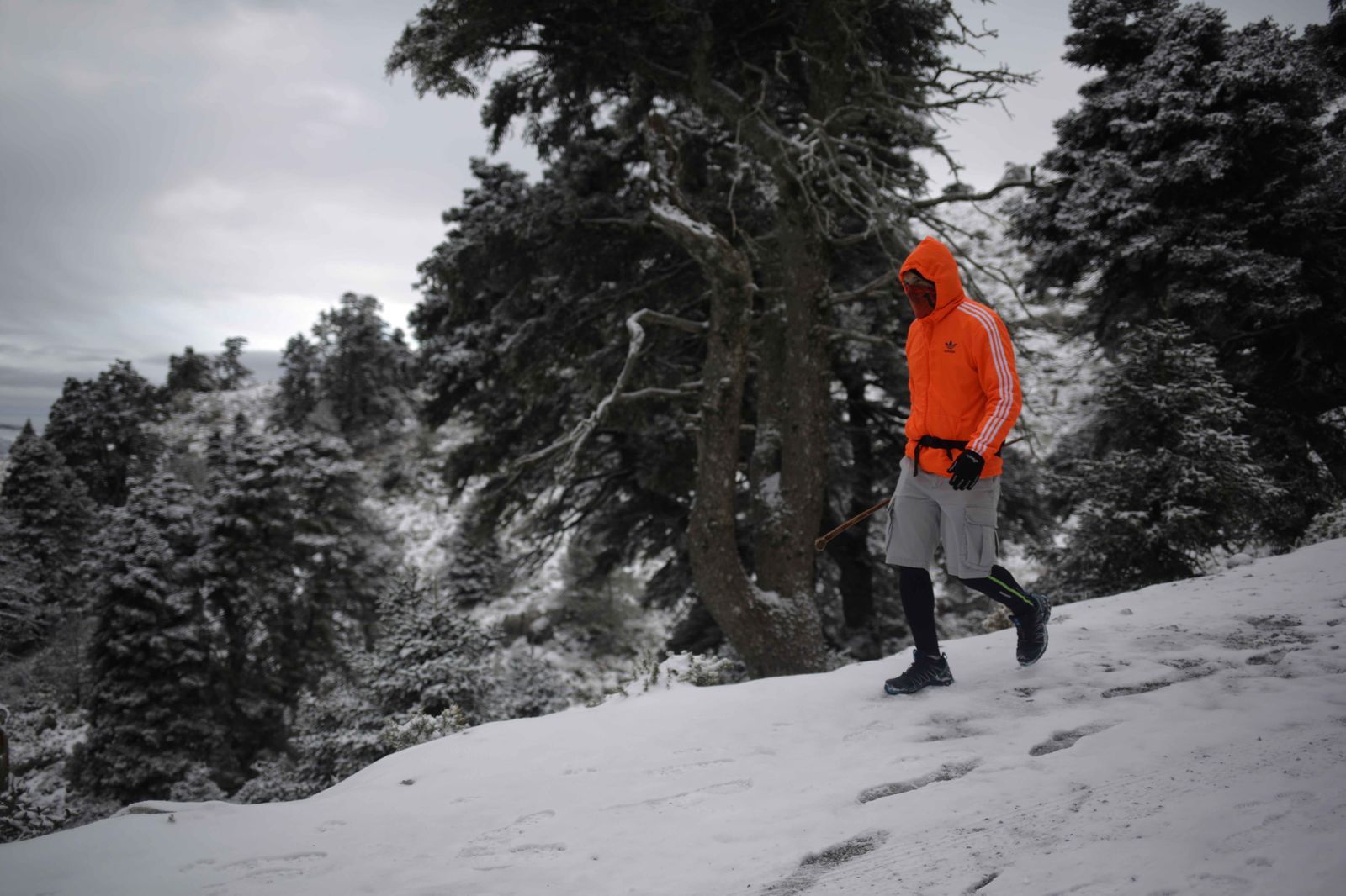 La excursiones a los parajes nevados de Málaga, en imágenes