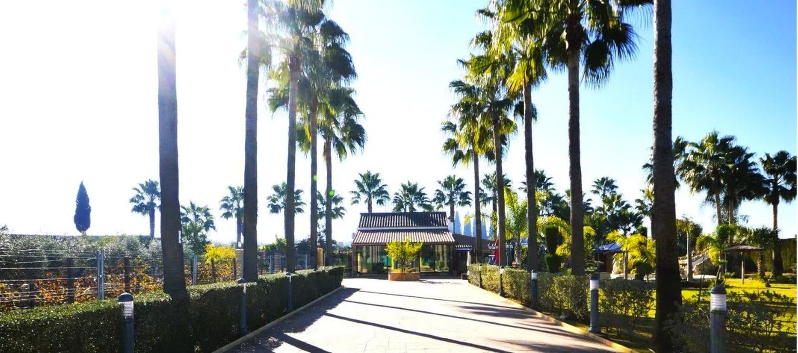 Entrada a la finca en venta ubicada en la Barca de la Florida, en la zona rural de Jerez.