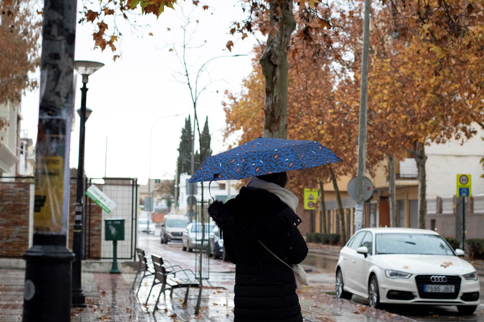 Granada bajo el temporal: imágenes de la ciudad durante la alerta naranja