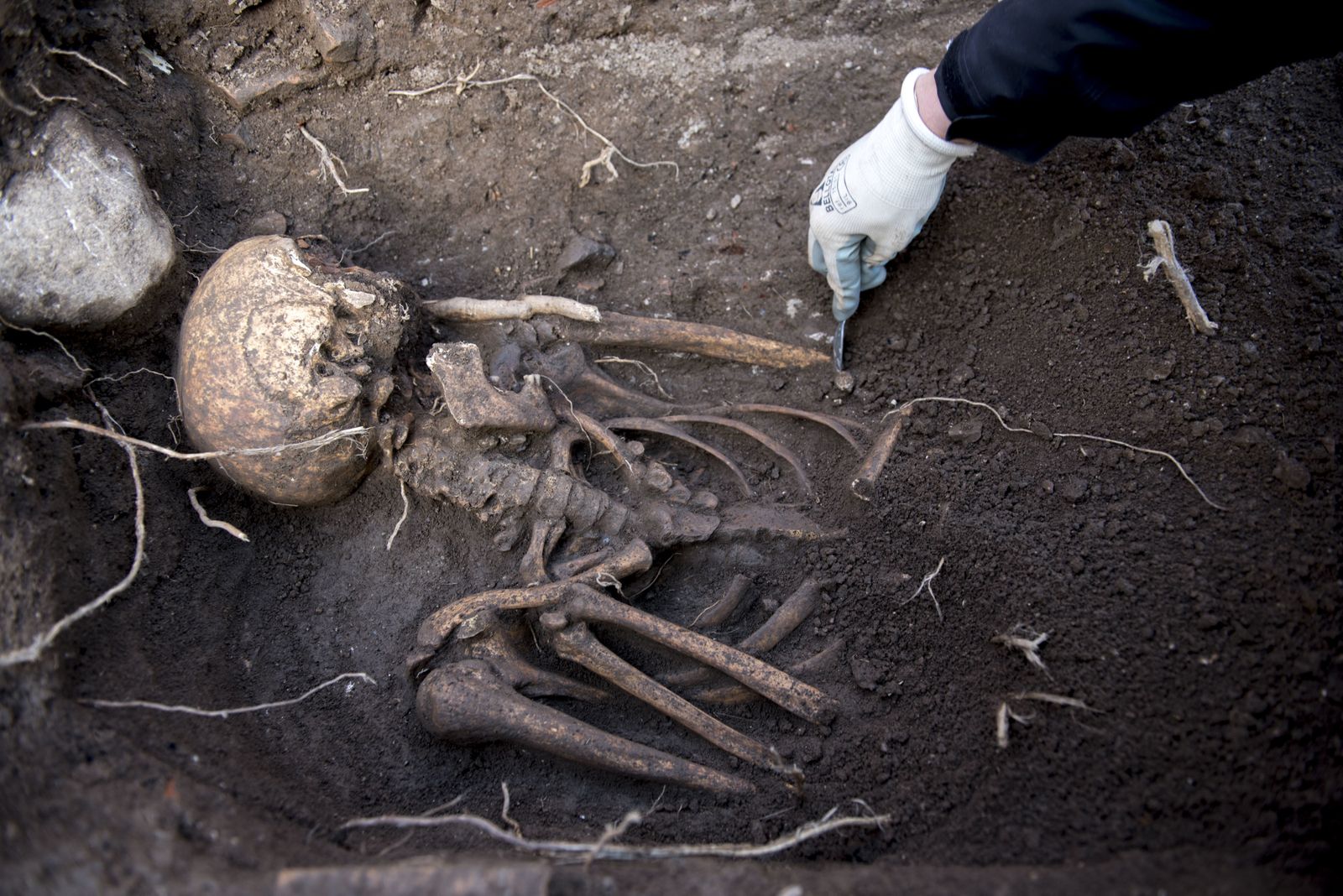 Nuevos hallazgos en Los Mondragones