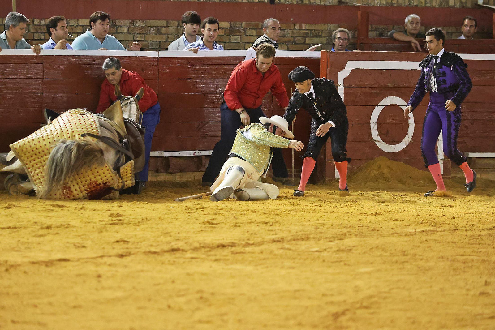 Toros La Merced 2024 Novillada con picadores(