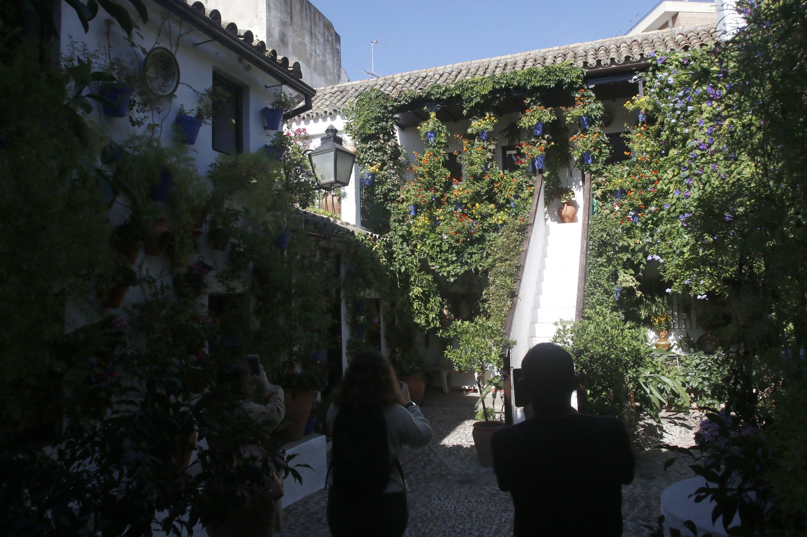 Las fotografías de los Patios de Córdoba en otoño