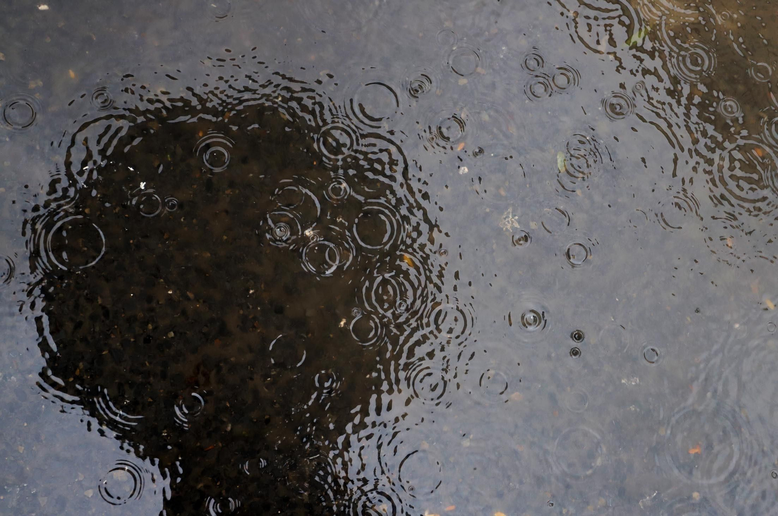 Día de lluvia, viento y frío en Huelva, en imágenes