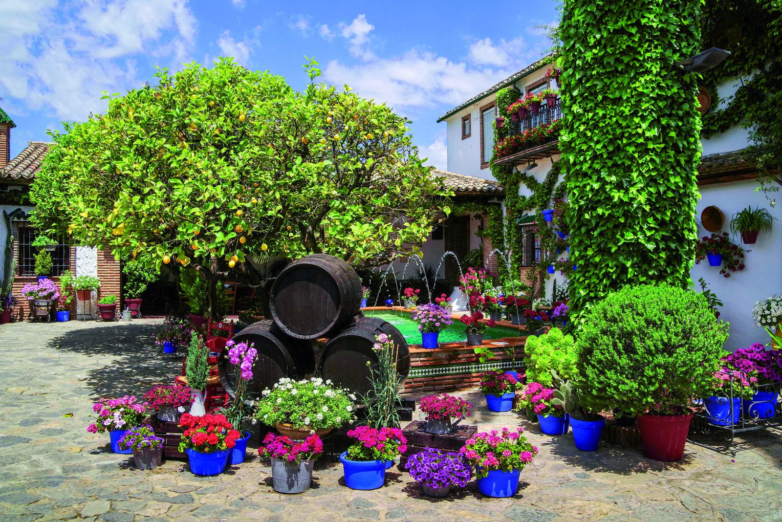Patio de la calle Empresaria Teresa Córdoba s/n, en Rute