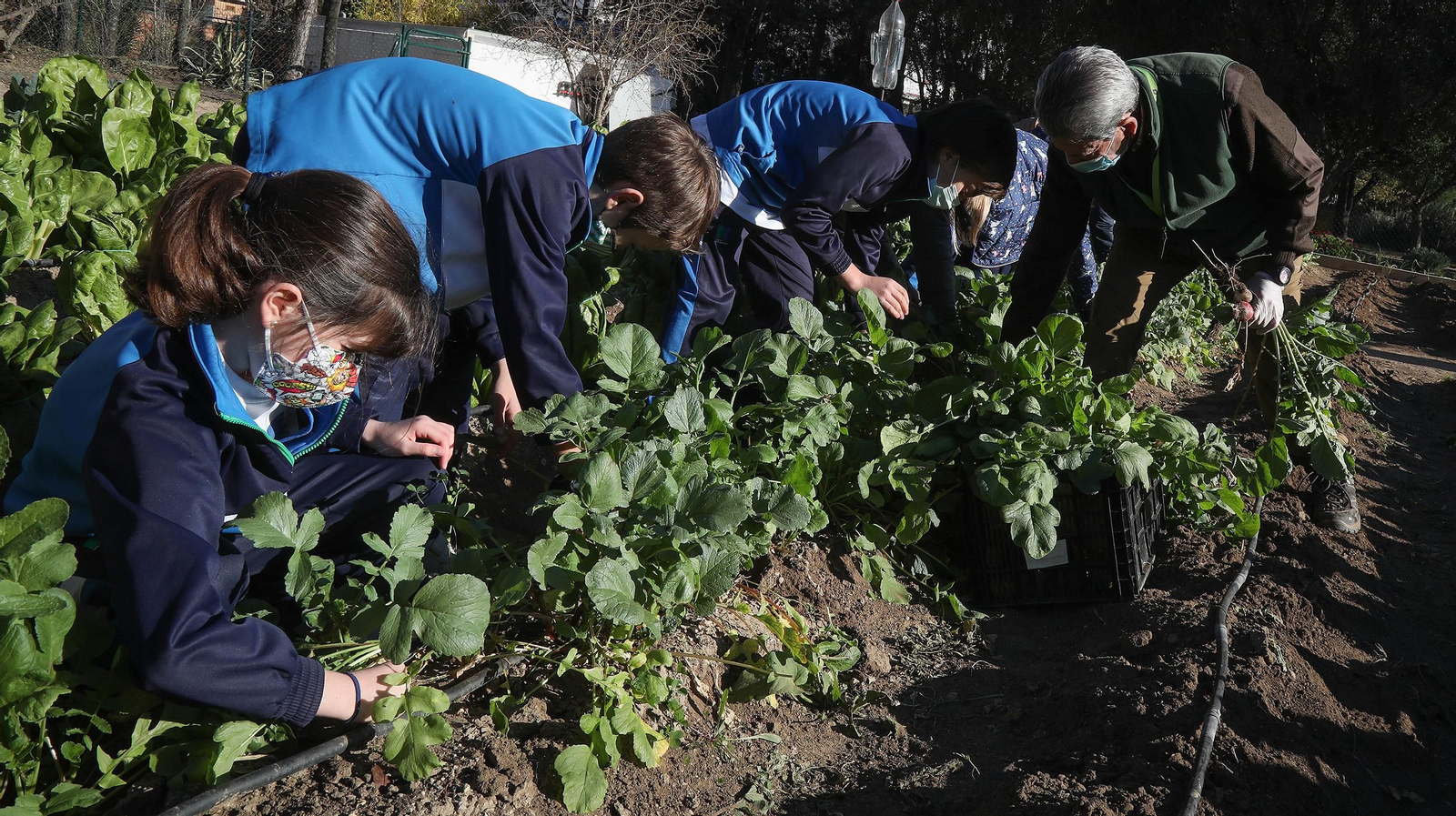 Huerto ecológico y educativo en Los Marianistas