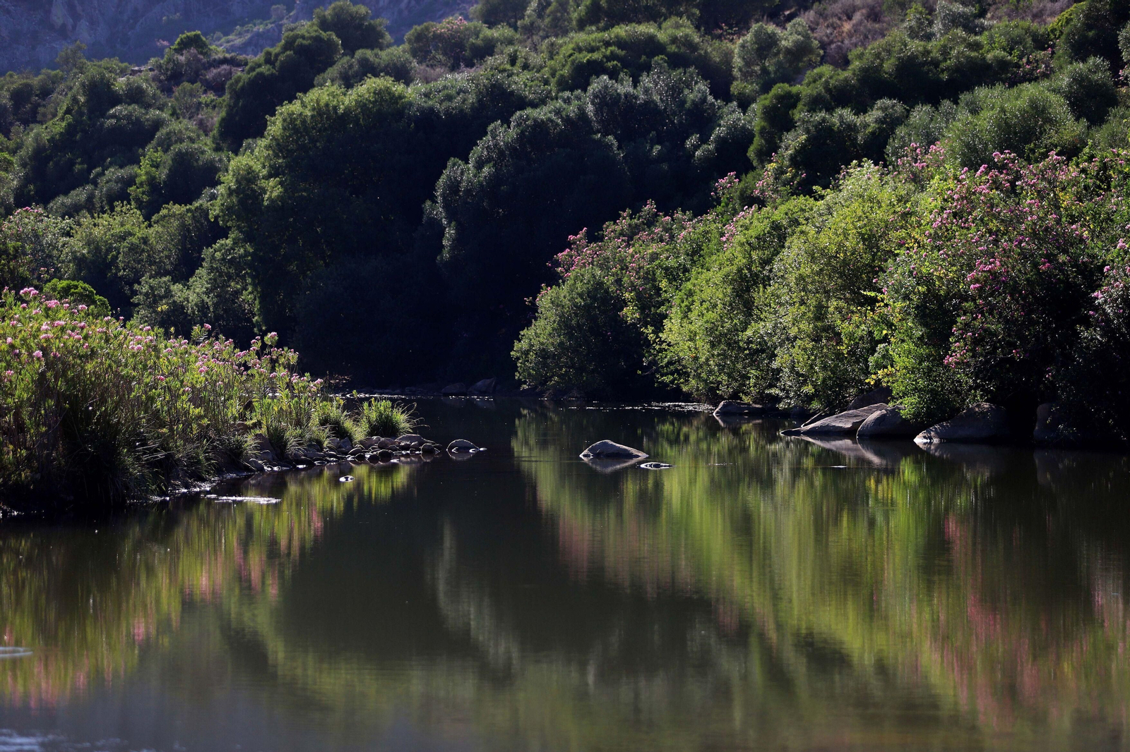 Ruta río Hozgarganta Ruta río Hozgarganta