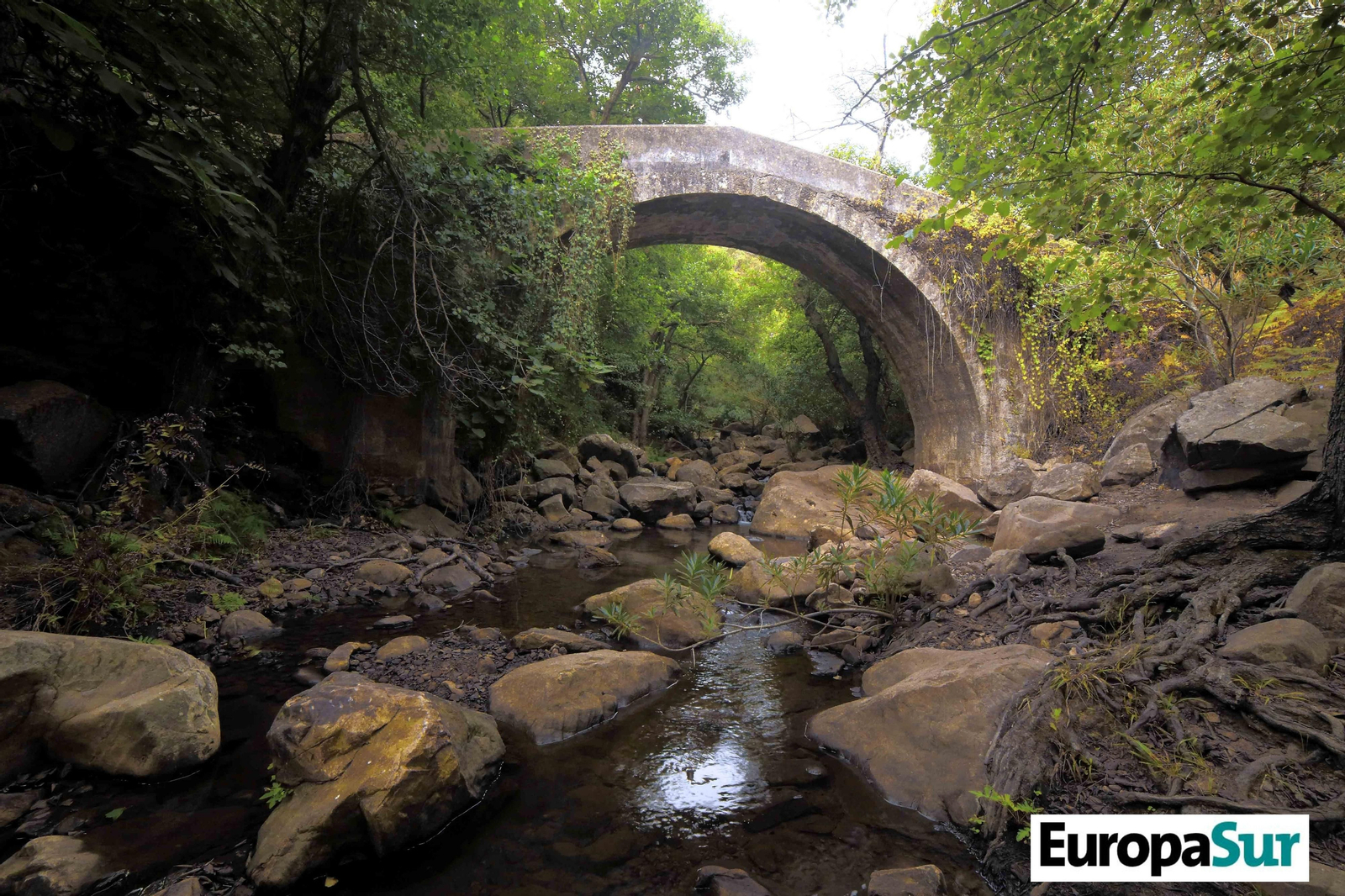 Fotografías de 'El último bosque', por David Coronado
