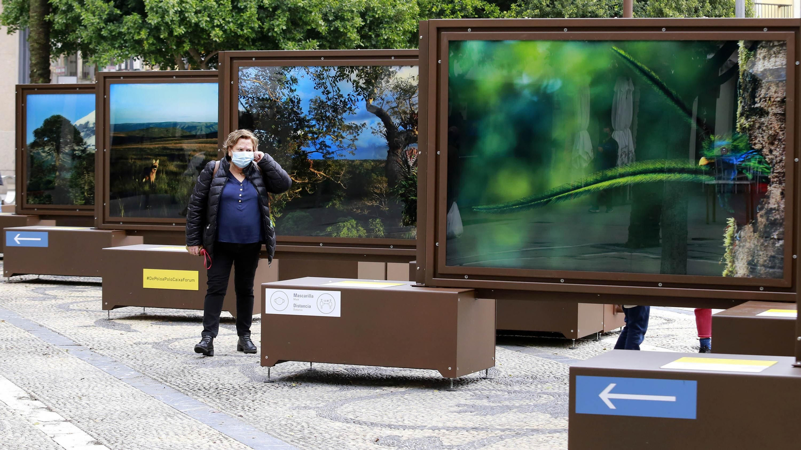 Exposición de 'De Polo a Polo' de The National Geographic en el Arenal