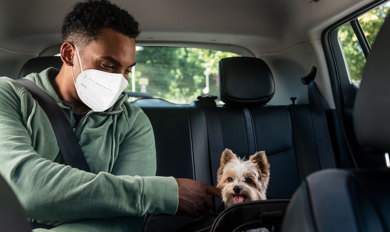 Uber ya permite viajar con tu mascota en Sevilla, Málaga y Madrid