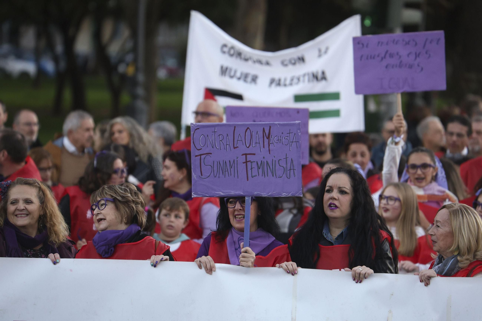 Manifestación del Día Internacional de la Eliminación de la Violencia contra la Mujer en Córdoba. Manifestación del Día Internacional de la Eliminación de la Violencia contra la Mujer en Córdoba.