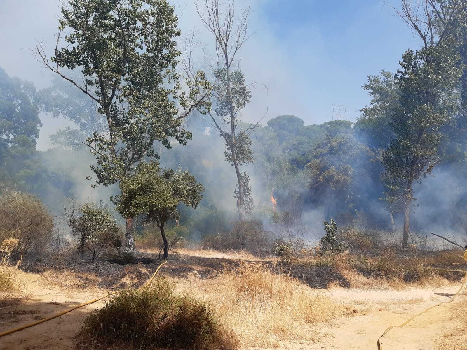 Una imagen del incendio en el Pinar del Rey.
