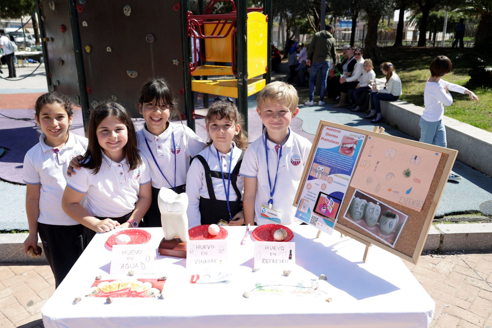 La IX Jornada de la Ciencia se celebra en el Colegio María Auxiliadora de Cádiz (Salesianas).