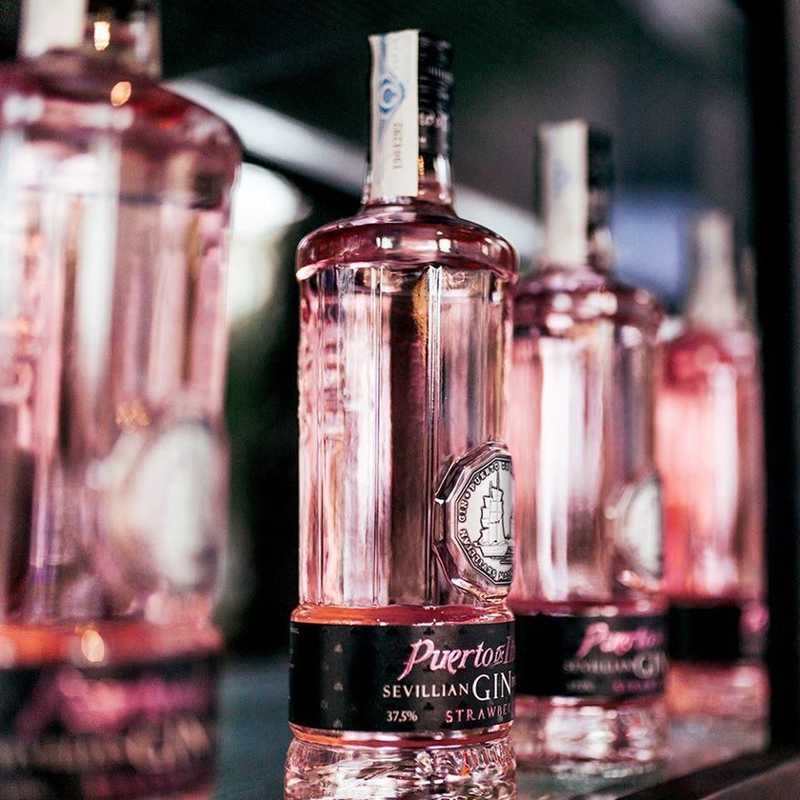 Botellas de Puerto de Indias.