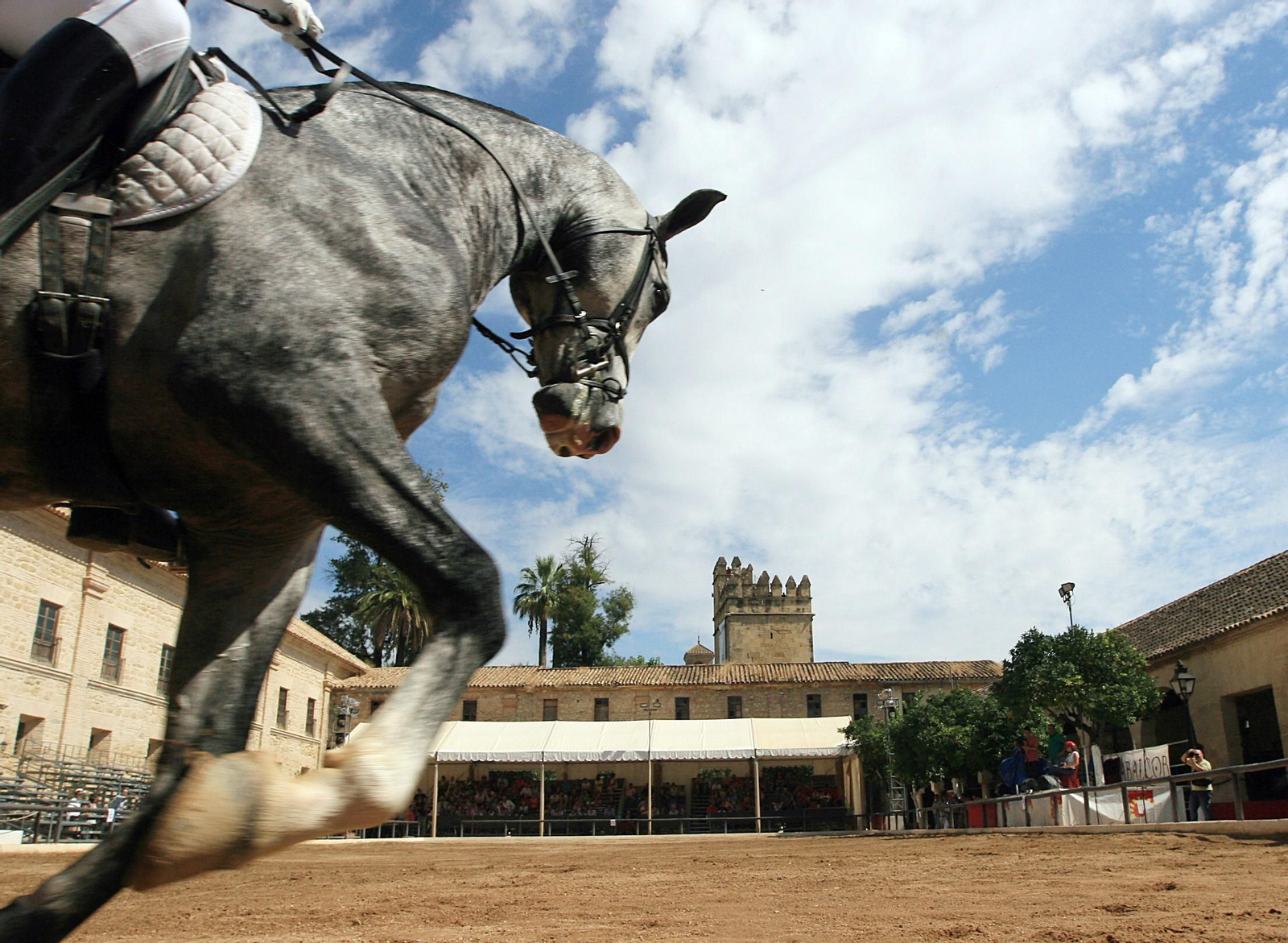 El Ayuntamiento se reúne con Defensa para cerrar el traspaso de Caballerizas.