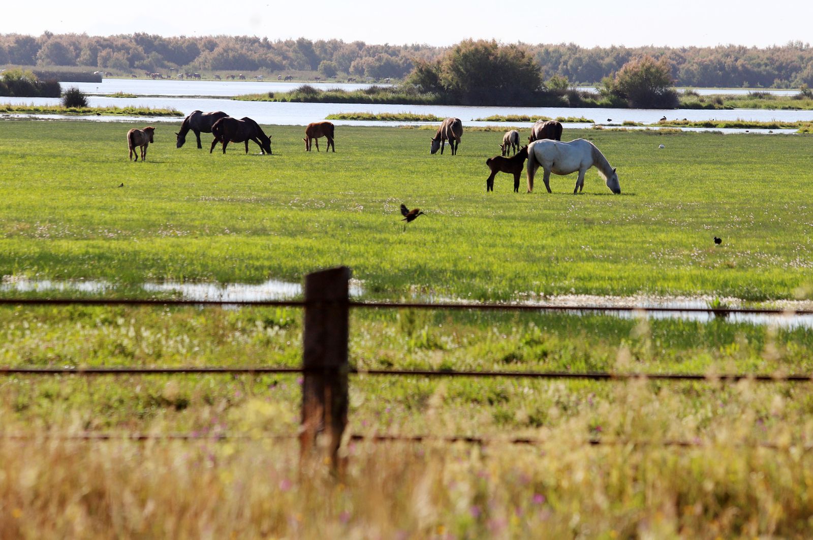 Imágenes del sábado 15 de mayo en Huelva