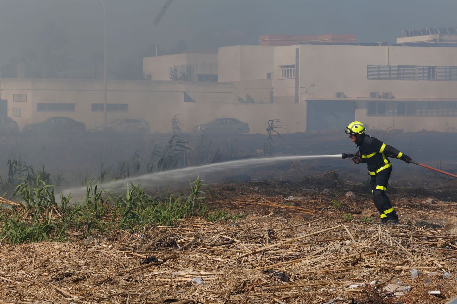 Un bombero trabaja en la zona de pastos, esta tarde en La Línea.