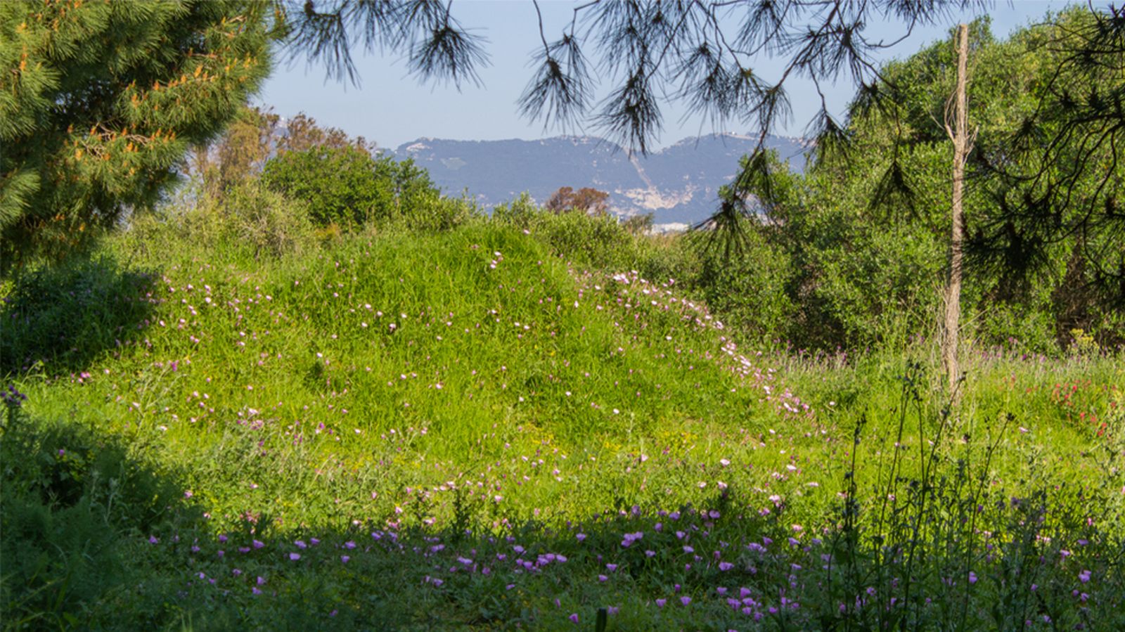 Fotos del parque municipal El Torrejón