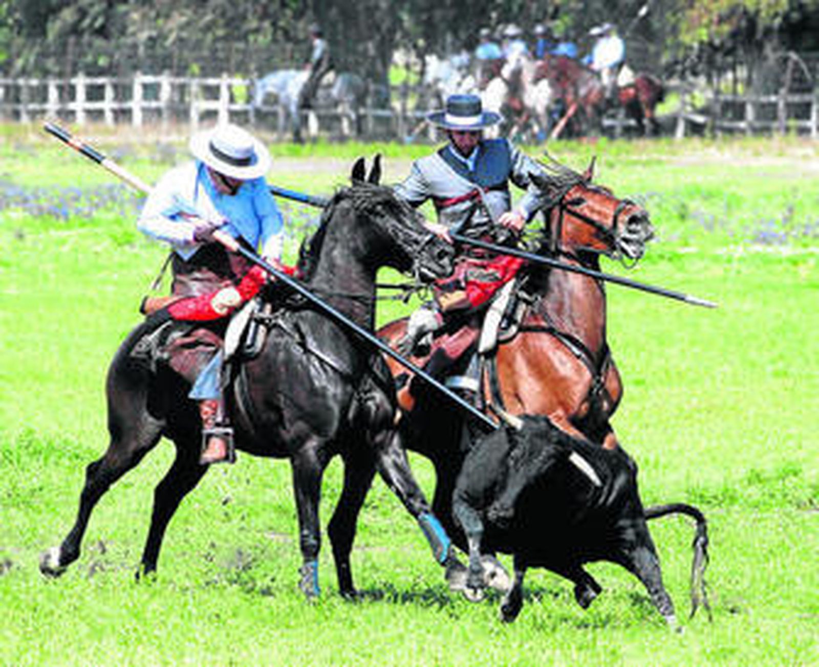 Imagen de una pasada edición del Campeonato de España en Vicos.