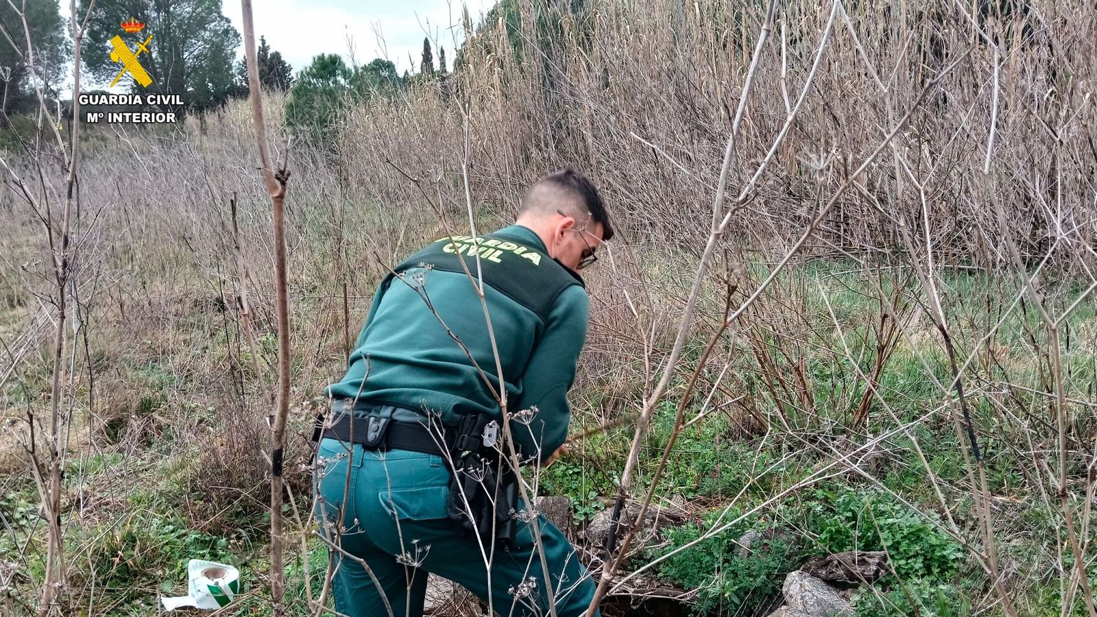 Efectivos de la Guardia Civil durante la intervención.