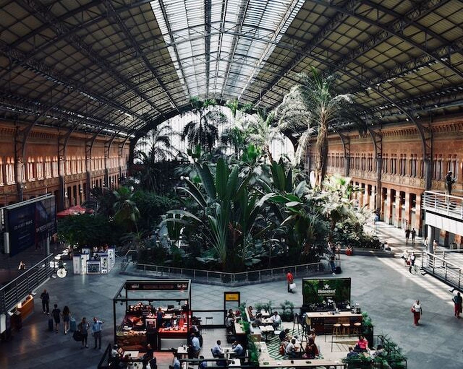 ¿Cogerías un AVE a Madrid para ahorrar al comprar tus audífonos para personas sordas?