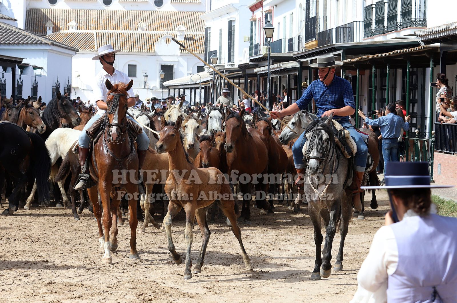 Imágenes de la saca de yeguas 2019