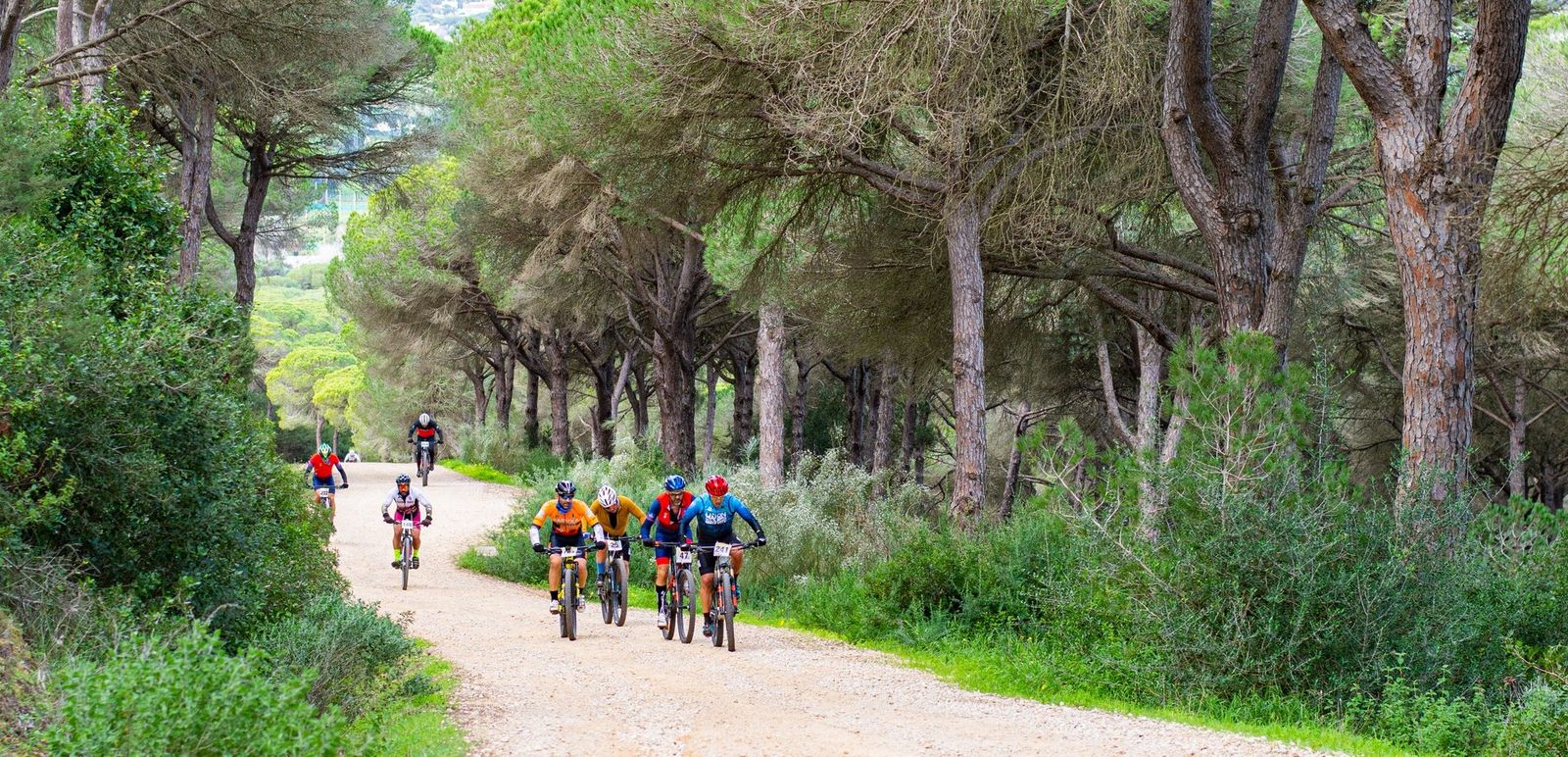 Ciclistas en el Pinar de la Breña
