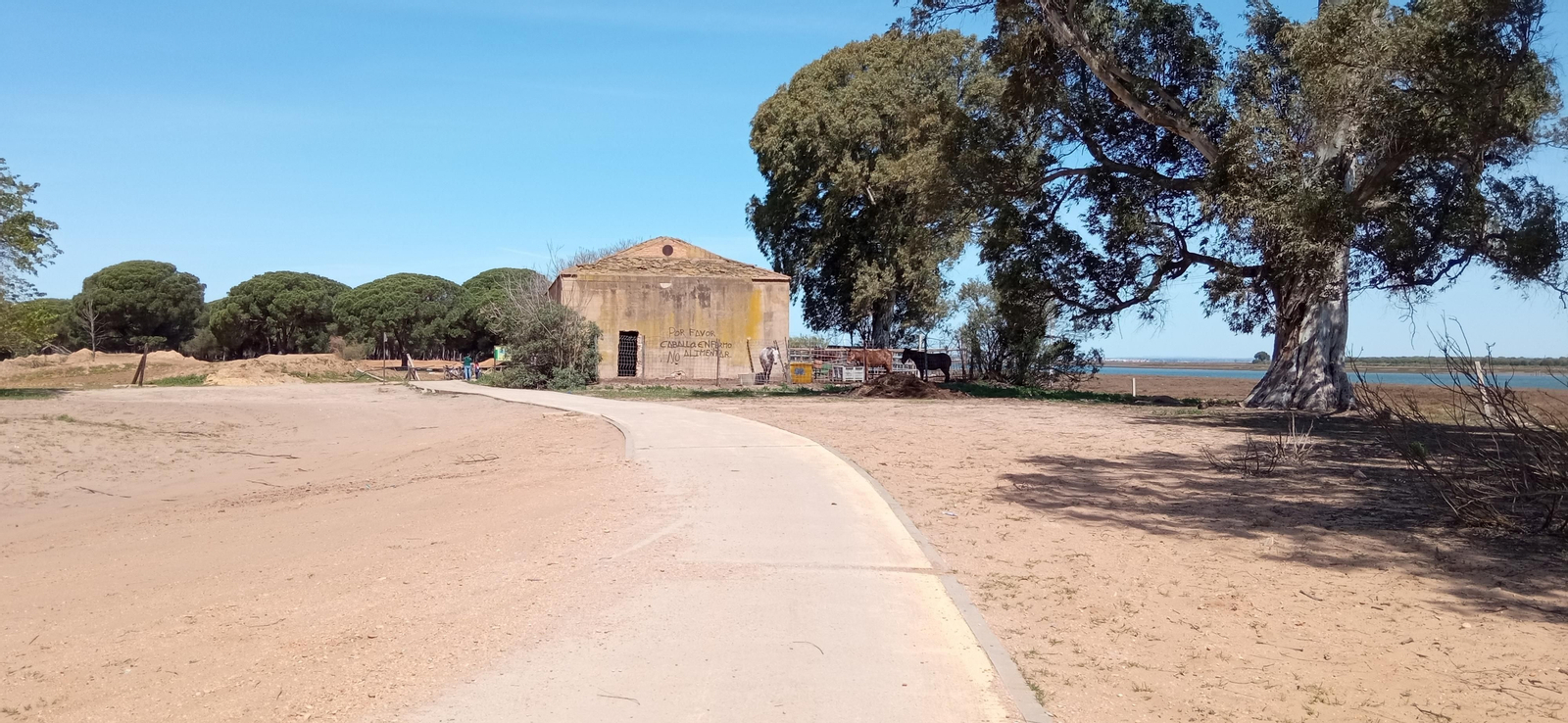 Las imágenes de la ruta de las salinas del Astur y los pinares de Punta Umbría