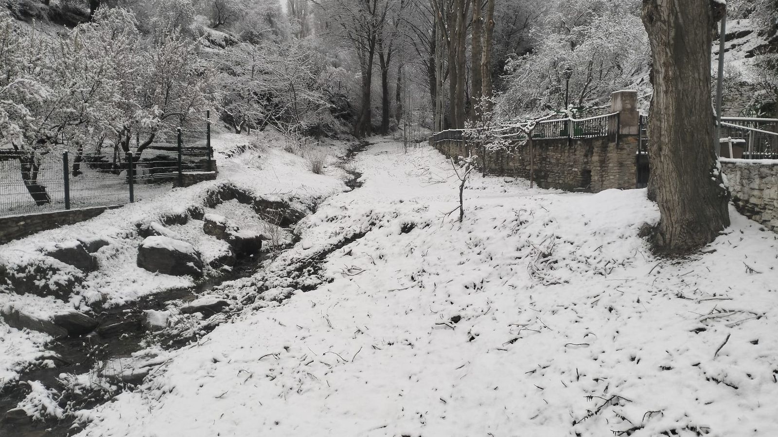 Estampa invernal en Bacares, donde la nieve ha cubierto caminos, árboles y arroyos en este municipio del interior de Almería.