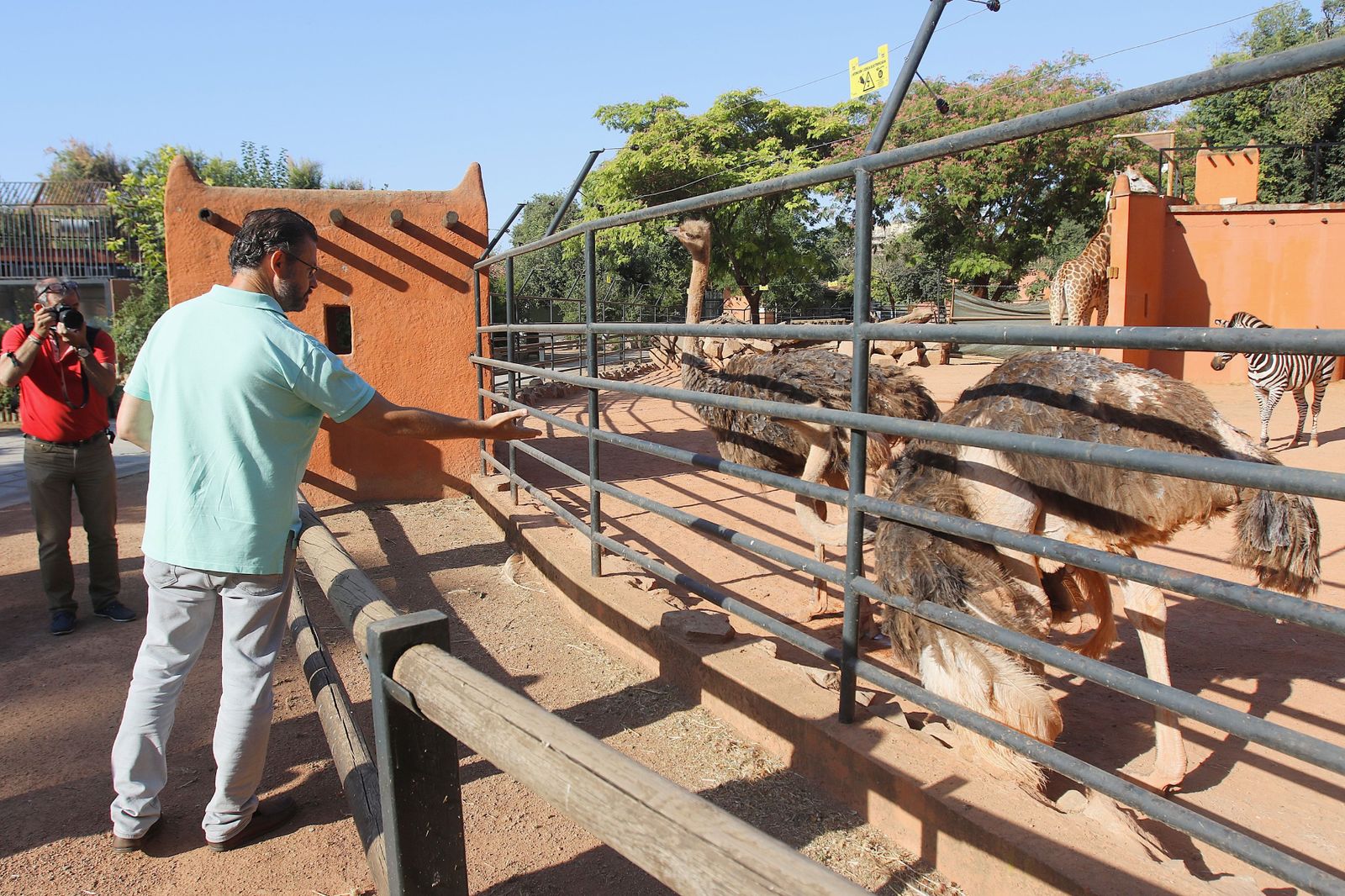 Las fotografías de la reapertura del Zoo de Córdoba tras el coronavirus