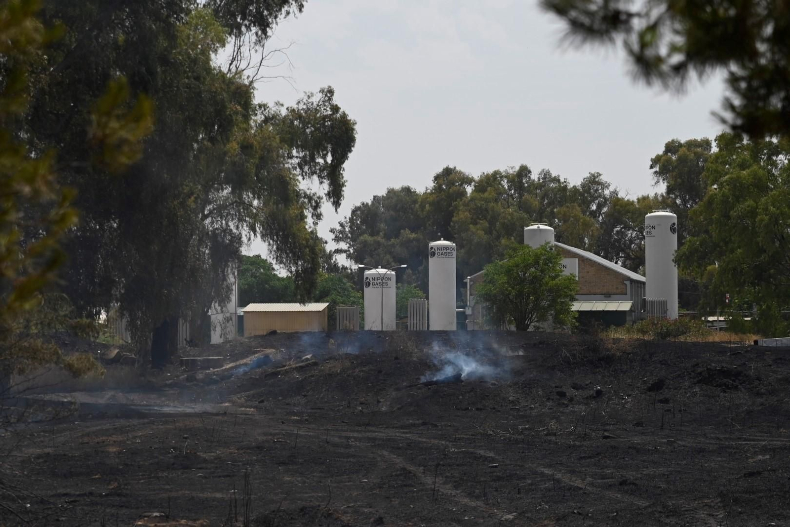 La zona calcinada por el incendio junto a la ronda Oeste, en imágenes