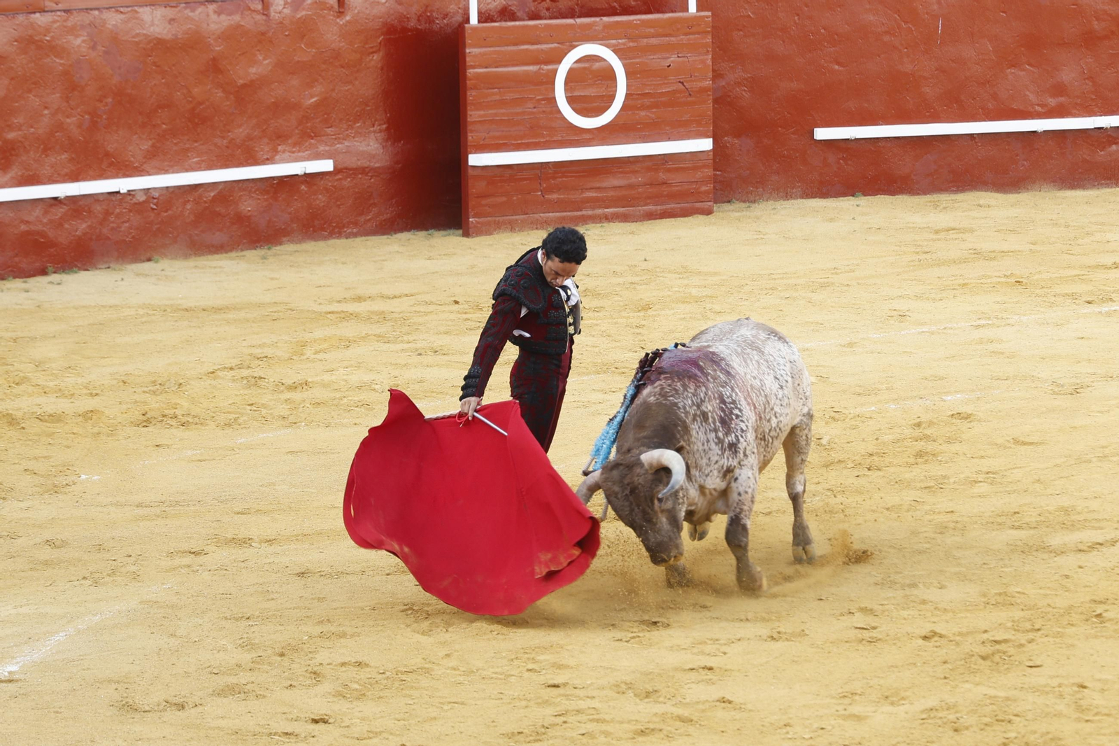 Las fotos de la corrida de toros de la Feria de San Roque