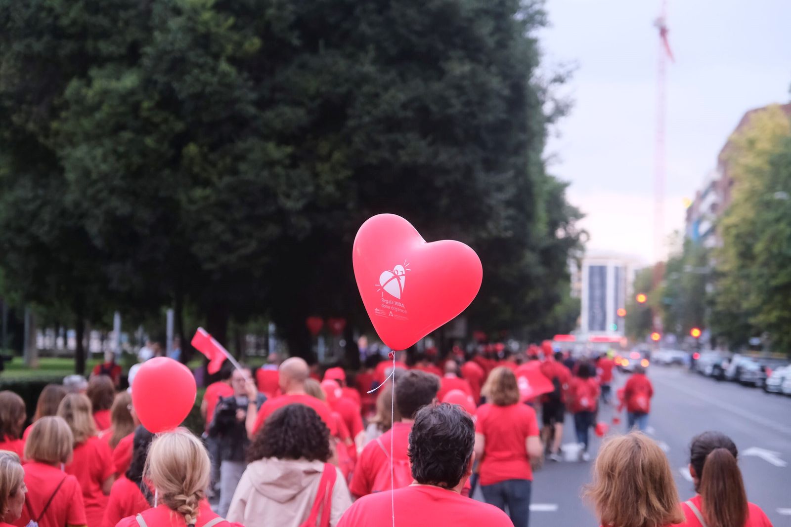 La marcha por la donación tiñe de rojo las calles de Córdoba, en imágenes